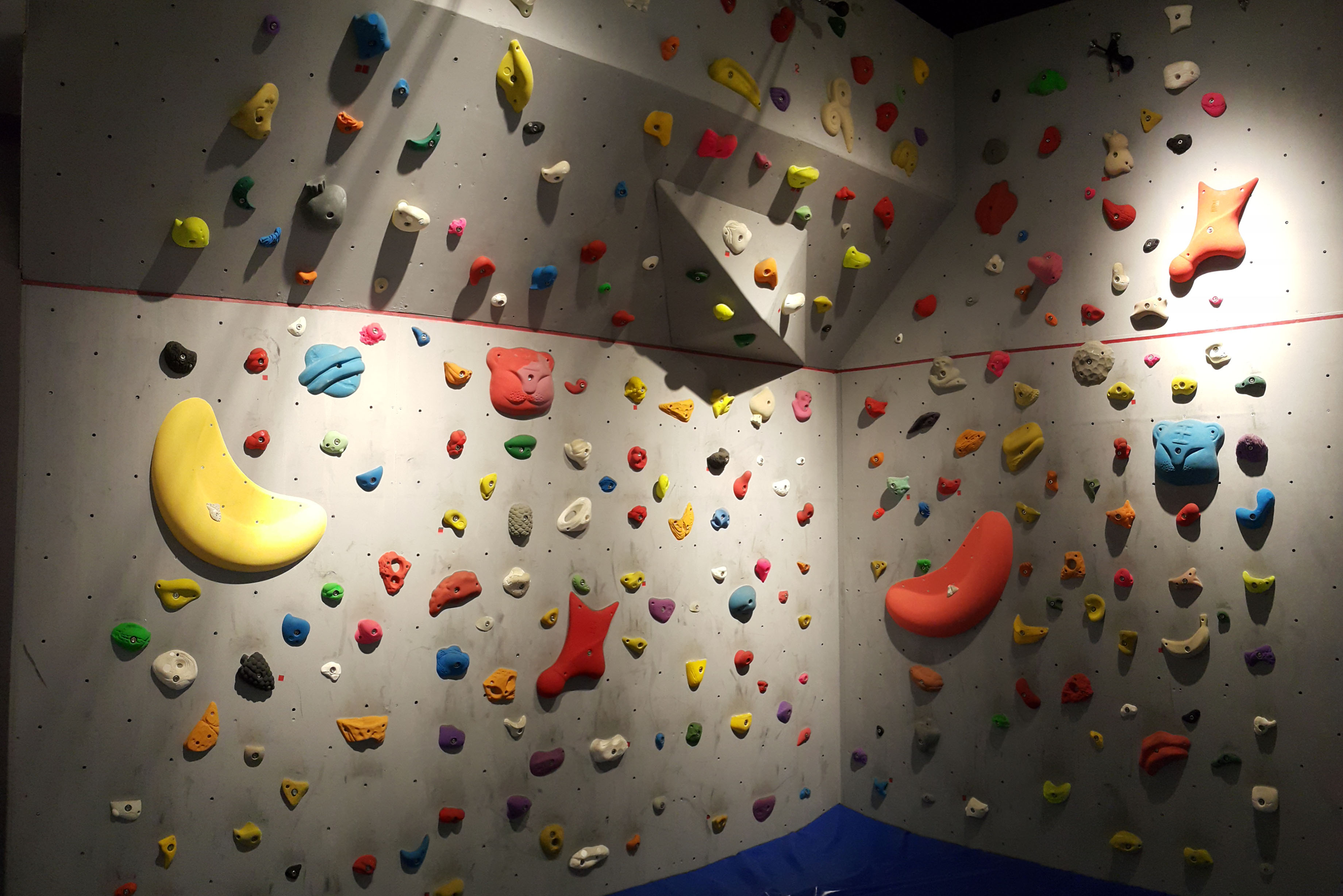 An indoor climbing wall
