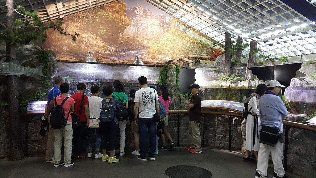 臺灣櫻花鉤吻鮭生態中心講解照片