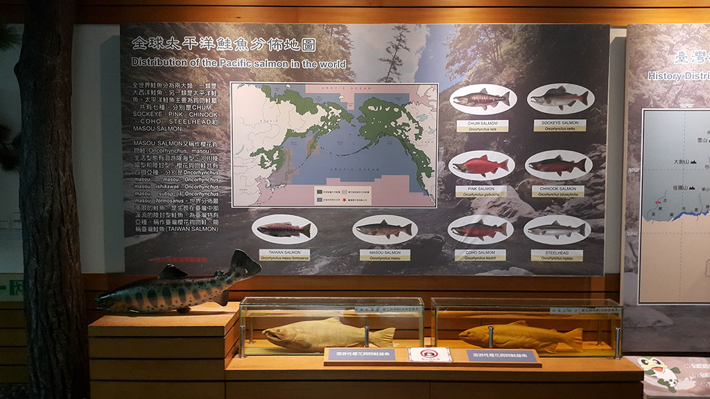 臺灣櫻花鉤吻鮭生態中心一景