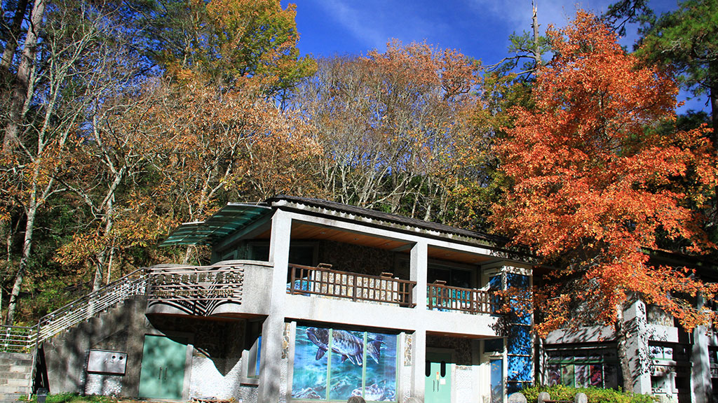 臺灣櫻花鉤吻鮭生態中心