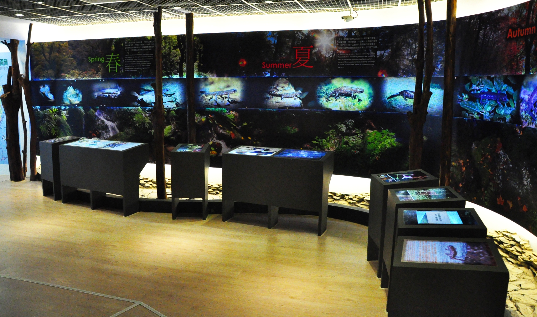 觀霧山椒魚生態展示區