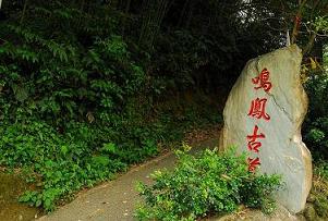 插圖