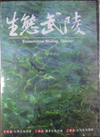 插圖