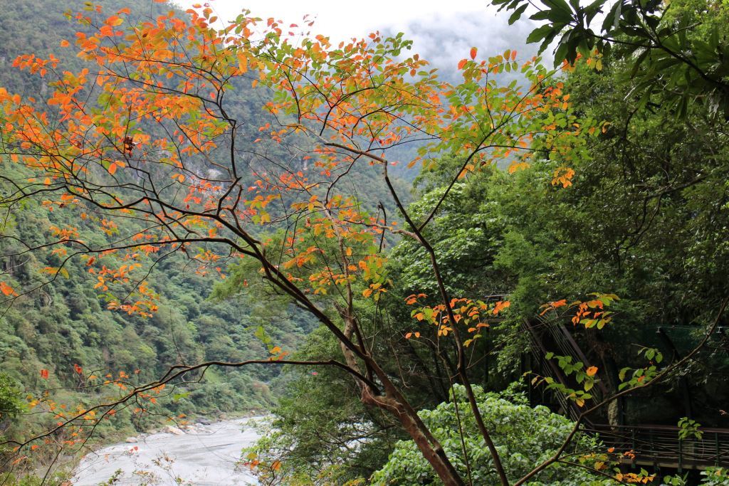 Jiu Xiong Autumn Color(.jpg)