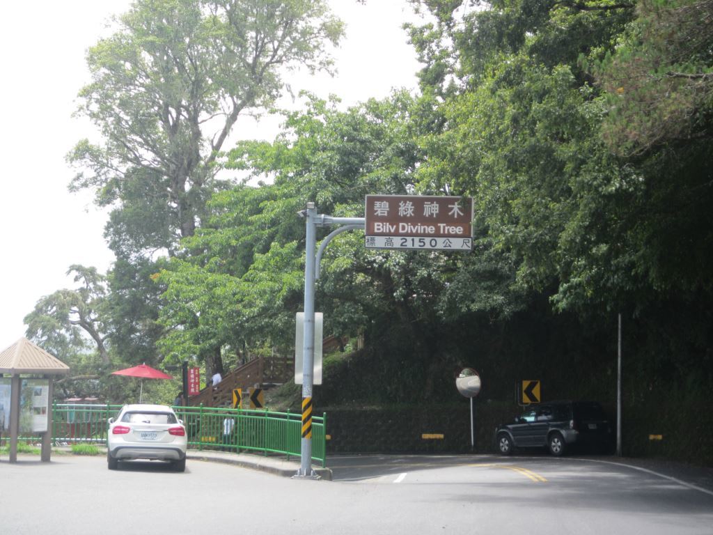  Bilu Sacred Tree Highway Landmark Sign