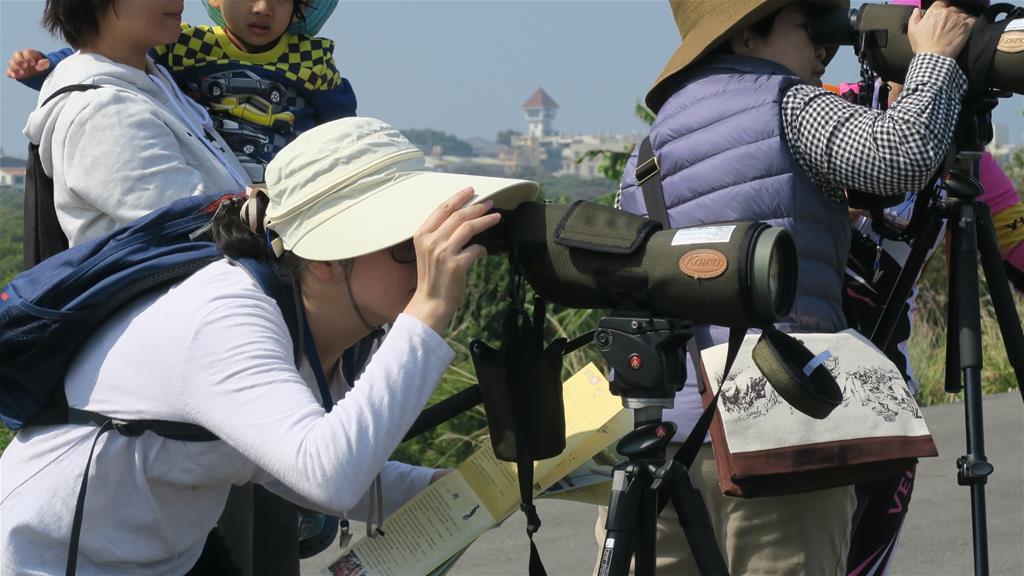 參與民眾使用望遠鏡進行鳥類觀察