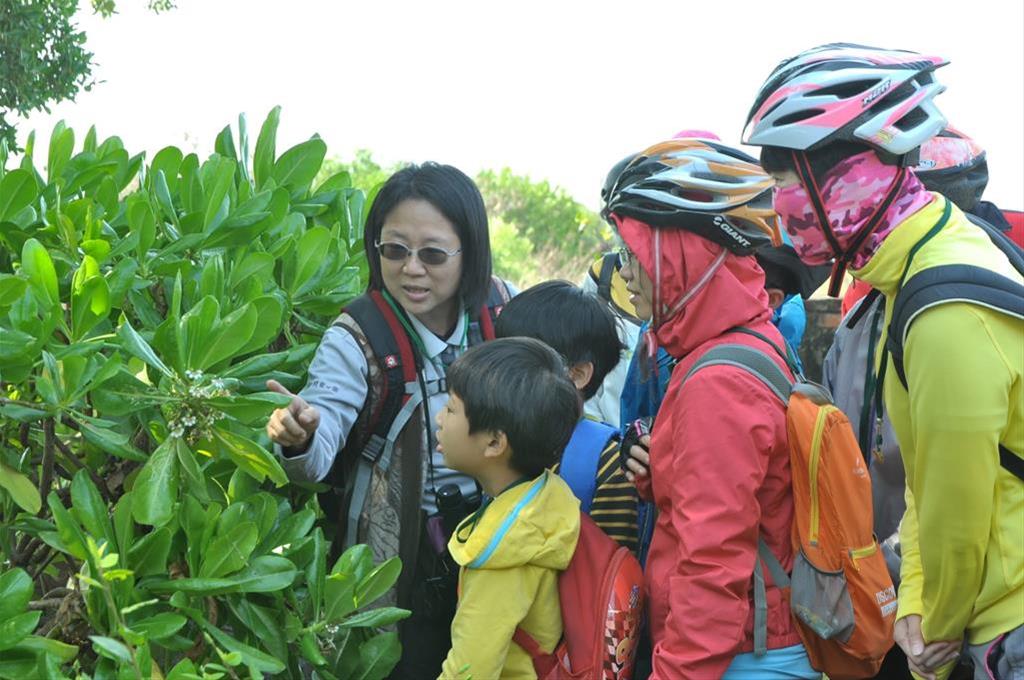 Tour guide leading families to observe and learn about the iconic flora of Sicao Wetlands