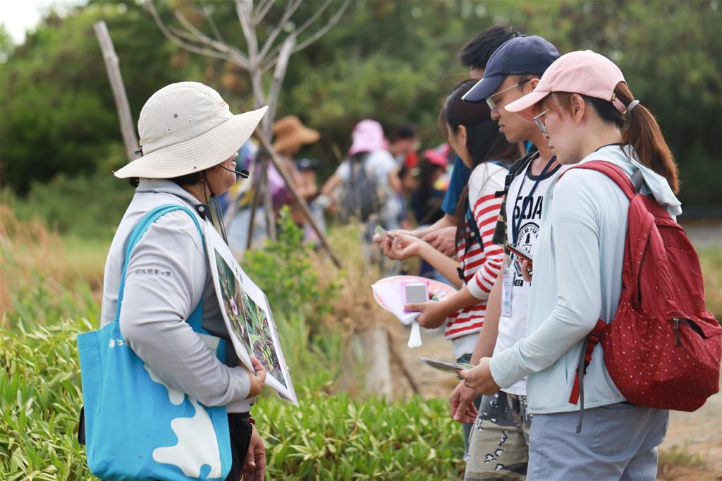解說員帶領民眾觀察濱海植物的生存密技