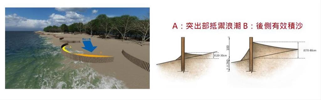 圖2、沙洲木樁帶設置堆積模擬
