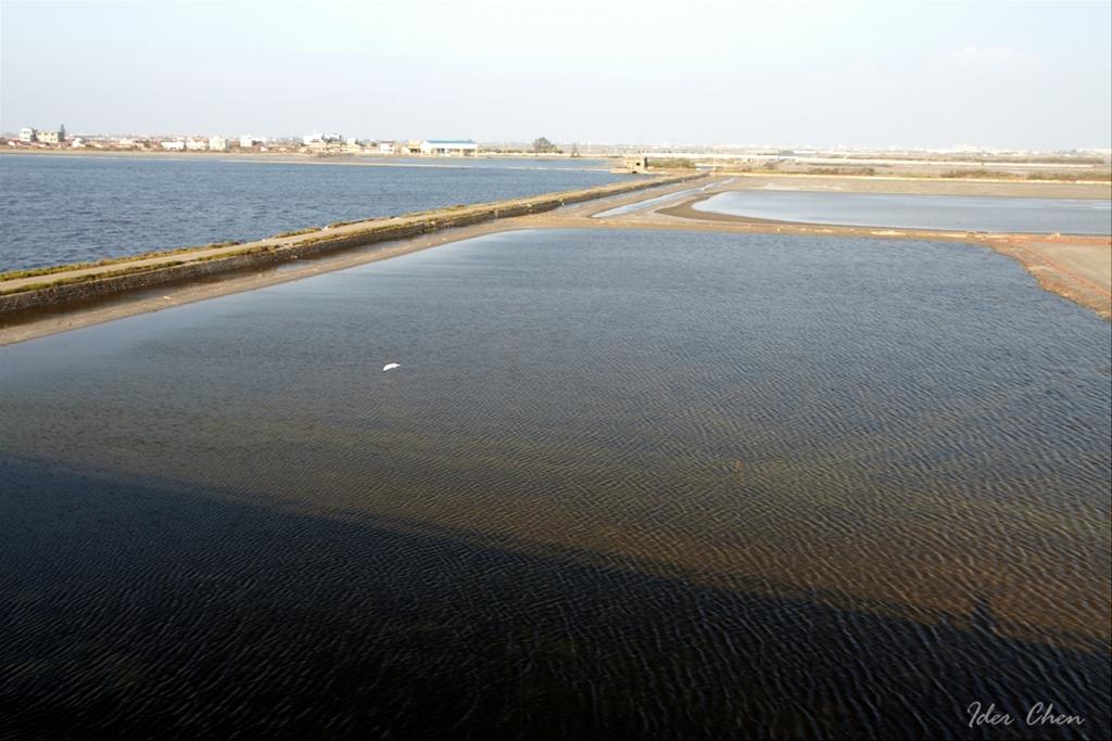 [另開新視窗]Cigu salt fields wetlands(2)