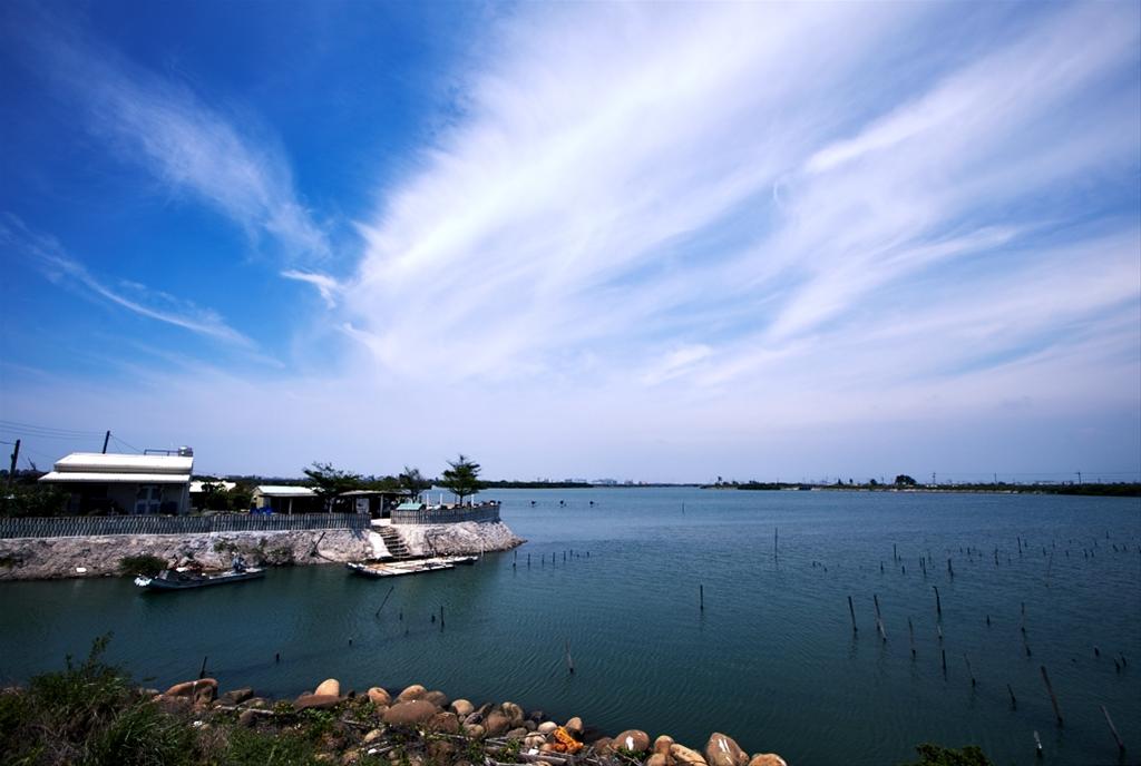 [另開新視窗]Yanshui River mouth wetlands(4)