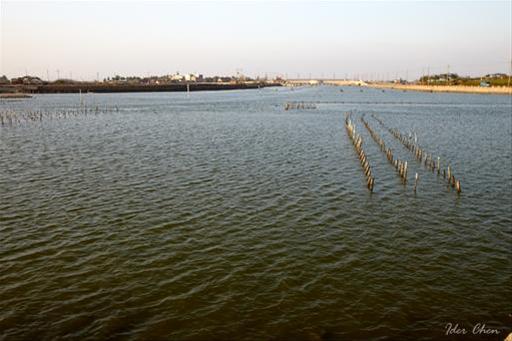 [另開新視窗]Zengwen River mouth wetlands