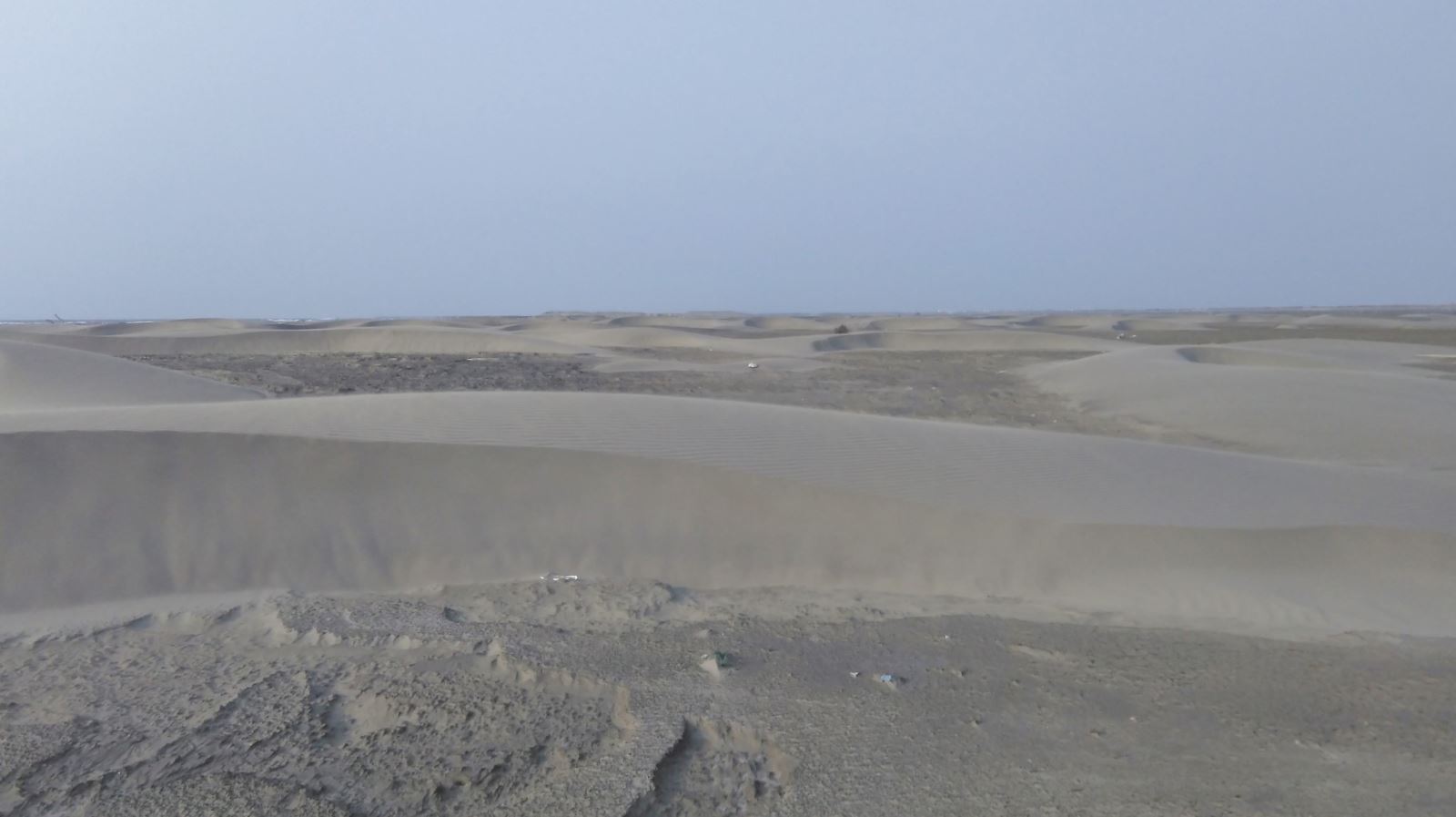 沙洲堆積沙丘