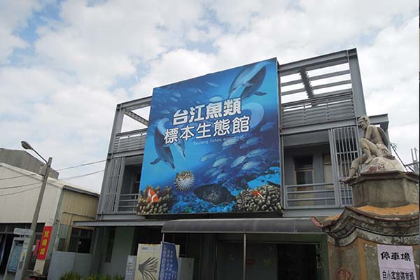 台江魚類標本生態館