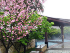 Yangmingshan Tienlai Spring Resort