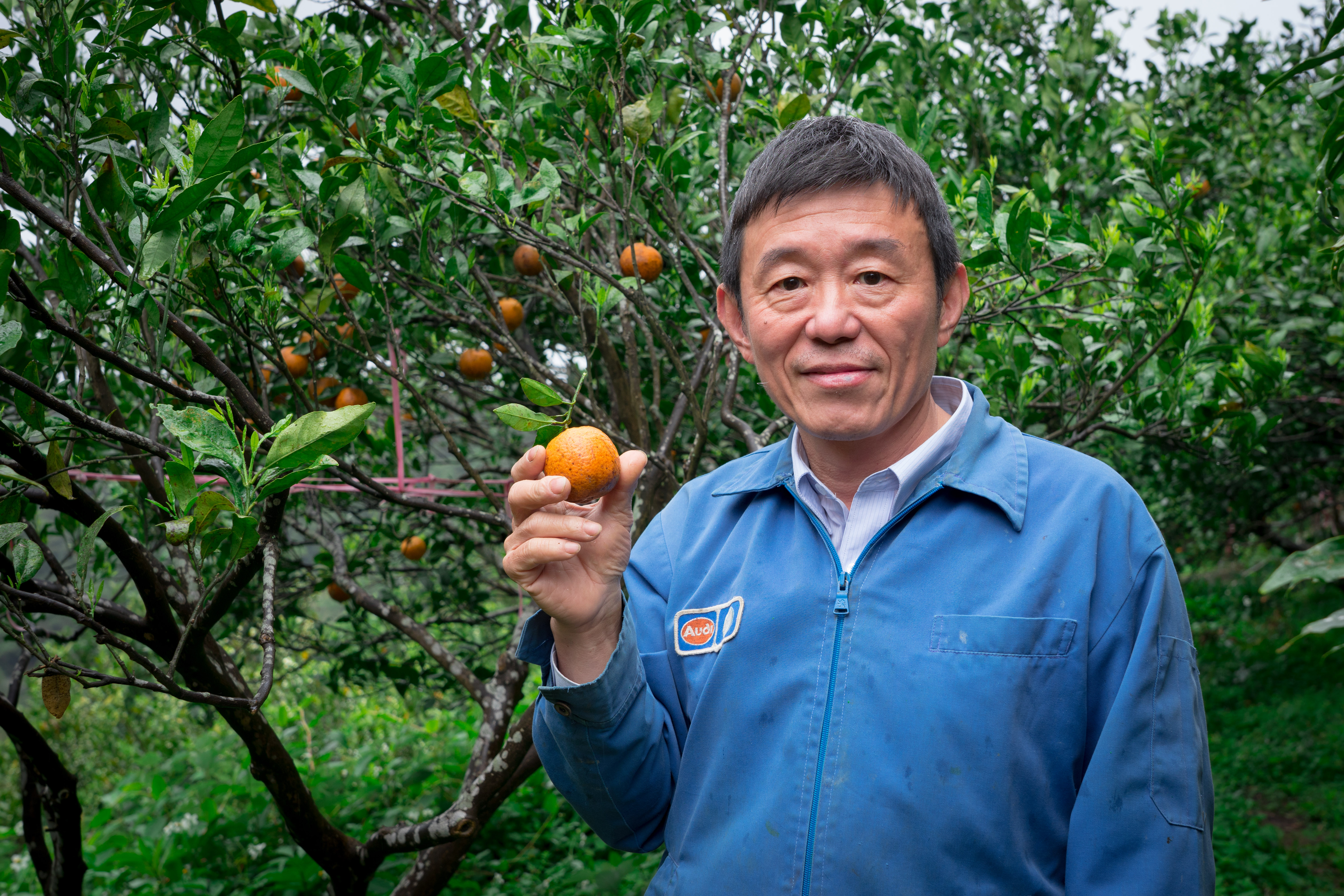 「友咭農園」農友 廖宗敬以有機方式栽種的橘子，提供安心的好滋味，也守護了國家公園的生態環境