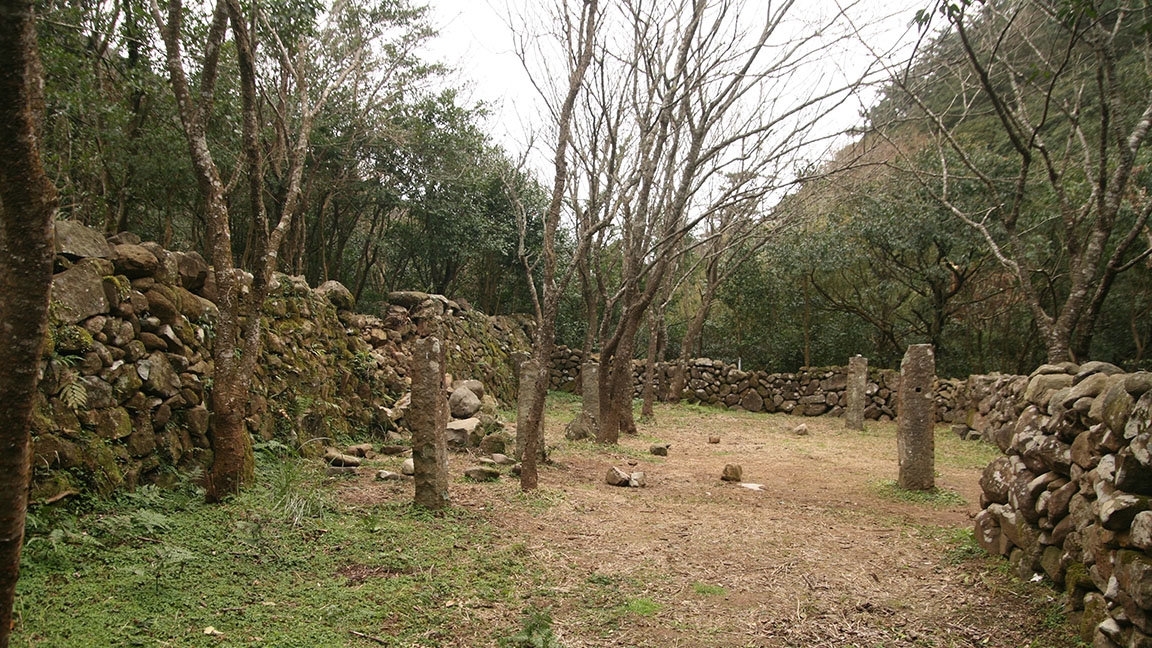 Stone housings of the Miantian site