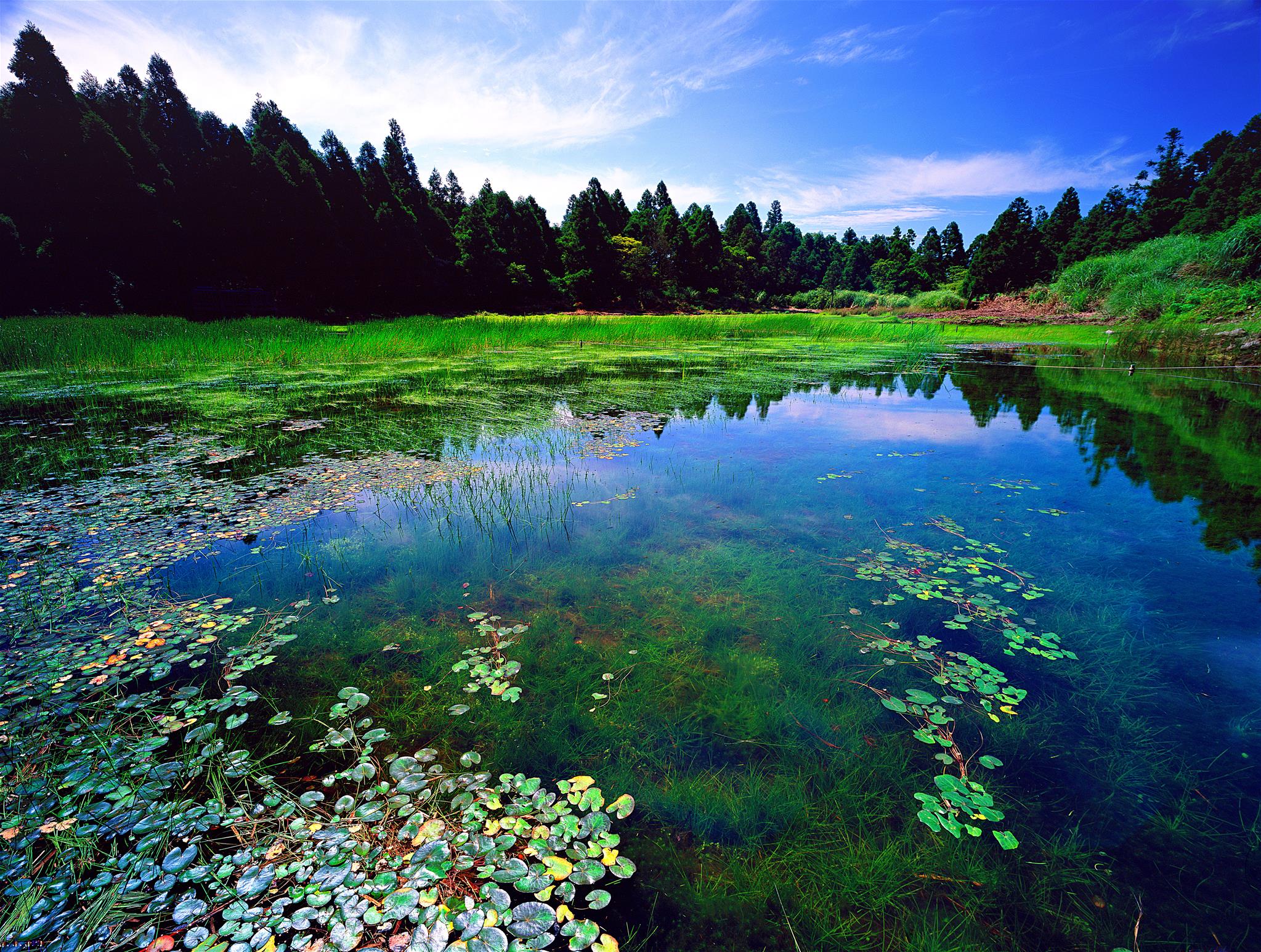 夢幻湖提供靜心聆聽的體驗