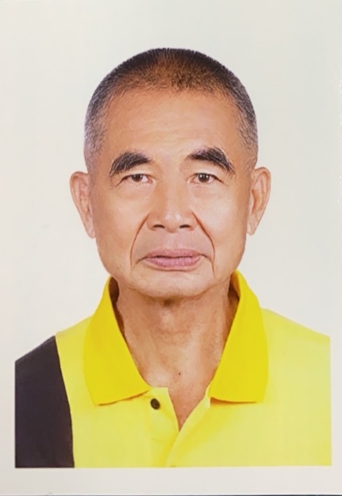 白春桐