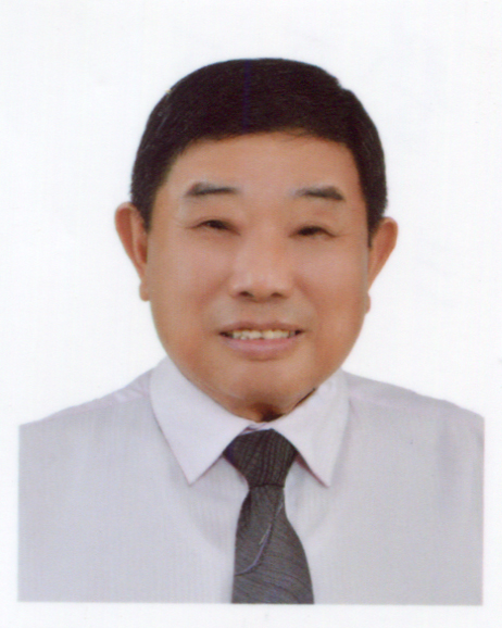 許全木